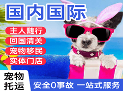 遵义茅台航空运输国际宠物托运 【国